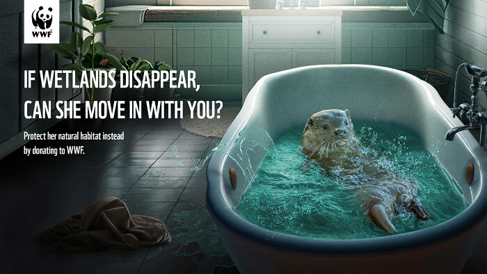 Otter in a bathtub filled with water in a bathroom, illustrating a powerful ad by WWF about wetland conservation.