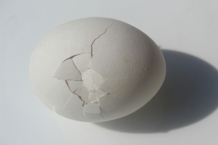 C*****d white egg on a light surface casting a shadow, symbolizing fragile concepts in theories about the afterlife.