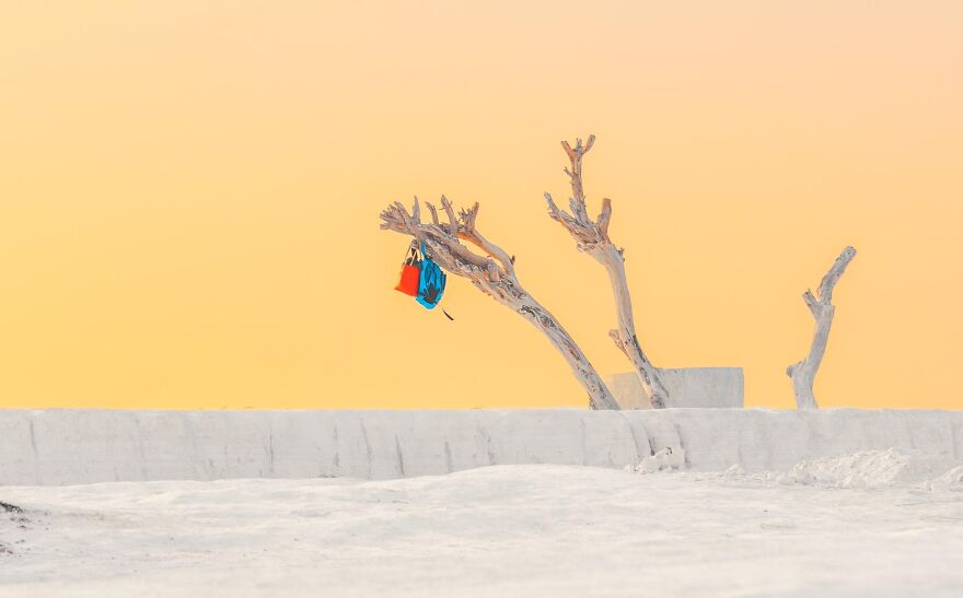 Wow, Did You See That? Award-Winning Photos That Hit You Right In The Feels