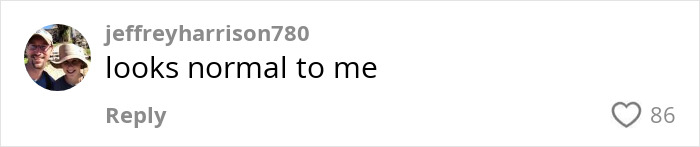 Screenshot of social media comment with a user’s profile picture and text saying looks normal to me, discussing Gen Z woman stopped shaving. Screenshot of social media comment with a user’s profile picture and text saying looks normal to me, discussing Gen Z woman stopped shaving.