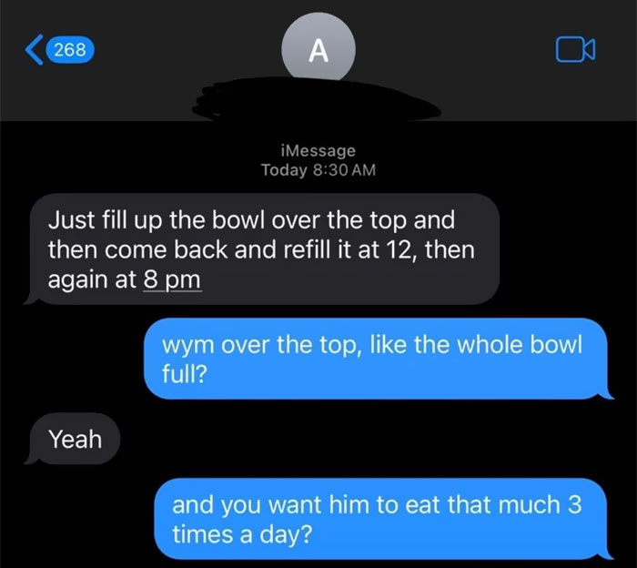 Text message conversation showing concern about feeding a severely overweight cat three times a day with large portions Text message conversation showing concern about feeding a severely overweight cat three times a day with large portions