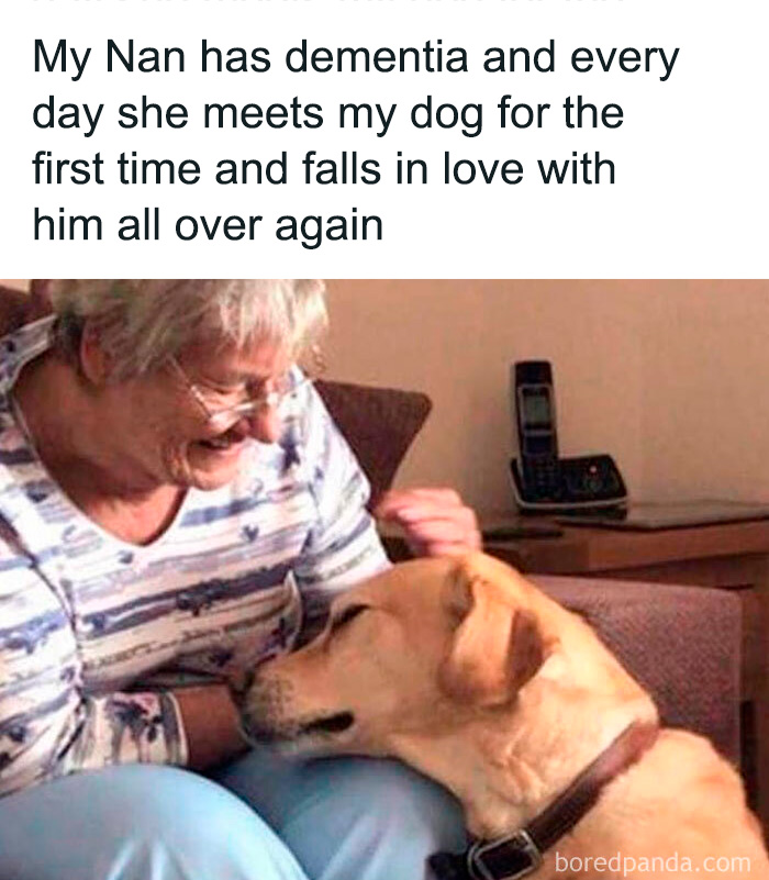 Elderly woman joyfully meeting her dog with love, showcasing relatable and funny moments for dog owners in memes.