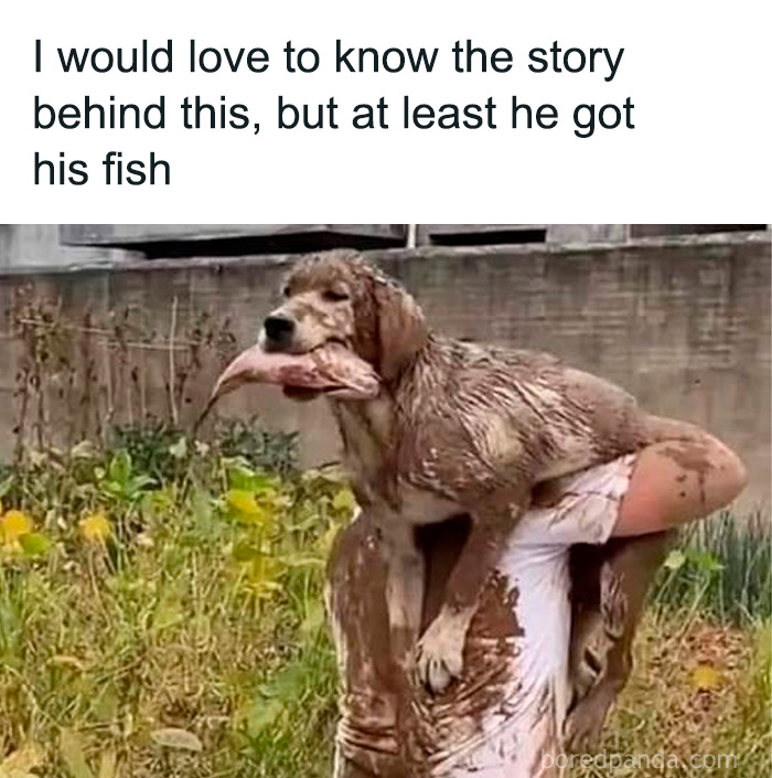 Man covered in mud carrying a muddy dog holding a fish, showcasing funny and relatable moments for dog owners.