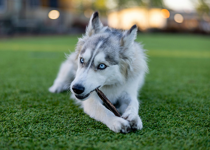 50 Facts People Are Tired Of Explaining Because Some Still Refuse To Believe Them