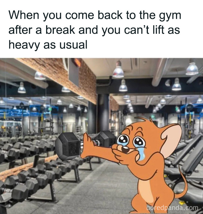 Meme Strength Train “Laugh At The Stereotypes”: 50 Gym Memes That Show The Real Struggle Of ...