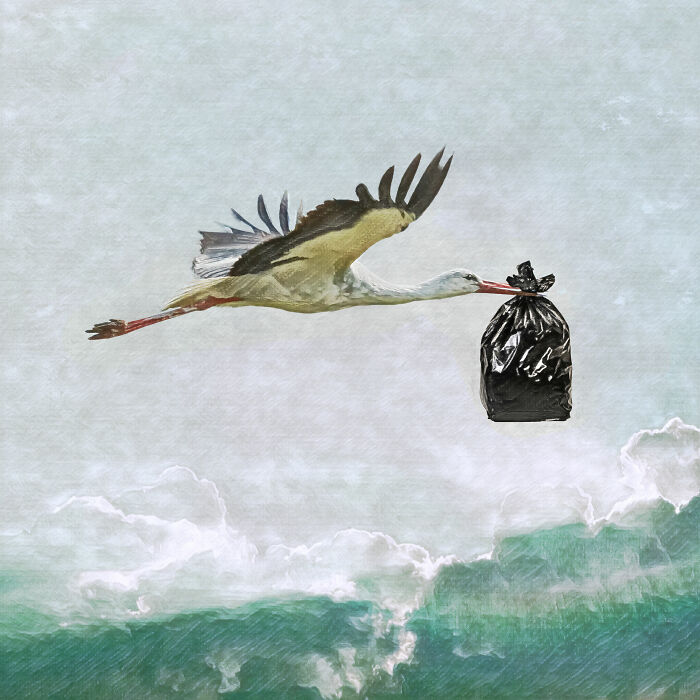 New Babies For New Generations