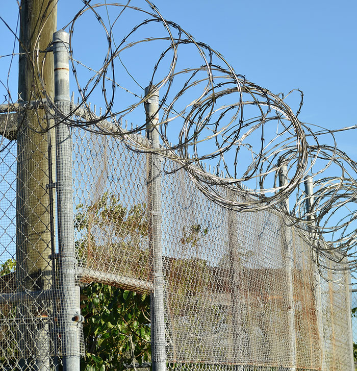 Barbed wire fence under clear sky representing security after landmark domestic violence case win. Barbed wire fence under clear sky representing security after landmark domestic violence case win.