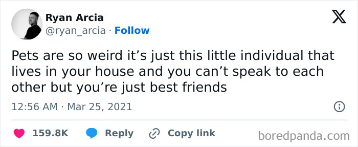 Funny dog meme text about pets being unique best friends despite language barriers, relatable dog memes content.