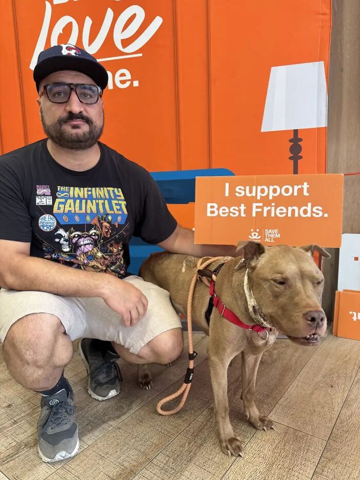 After Losing Her Home And Getting A Terminal Diagnosis, This Dog Found Comfort In A Familiar Place