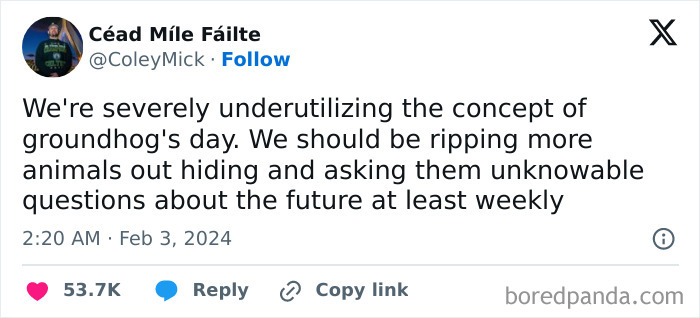 Funny social media post about underutilizing Groundhog Day, perfect to share with your circle of idiots for laughs.