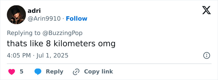 Tweet reacting to Japan Airlines flight plunge, showing surprise about the 8 kilometers sudden mid-air drop by passengers. Tweet reacting to Japan Airlines flight plunge, showing surprise about the 8 kilometers sudden mid-air drop by passengers.