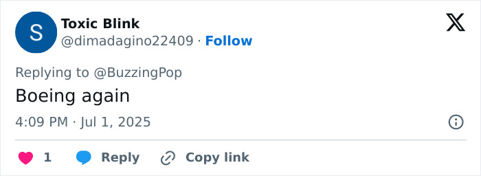 Screenshot of a social media comment mentioning Boeing in a discussion about Japan Airlines flight suddenly plunging mid-air. Screenshot of a social media comment mentioning Boeing in a discussion about Japan Airlines flight suddenly plunging mid-air.