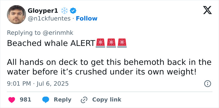 Screenshot of a social media post featuring a fatphobic comment about a plus-size model clapped back at online. Screenshot of a social media post featuring a fatphobic comment about a plus-size model clapped back at online.