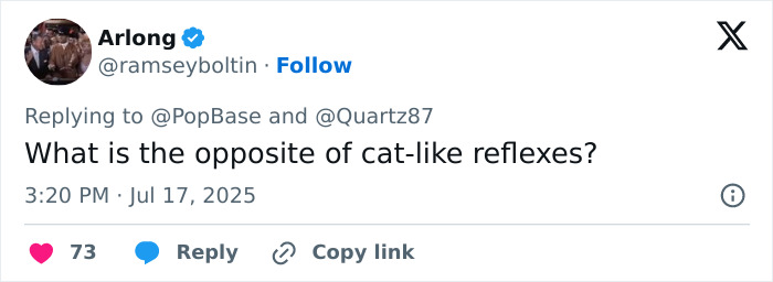 Twitter reply by user @ramseyboltlin asking about opposite of cat-like reflexes in a social media conversation. Twitter reply by user @ramseyboltlin asking about opposite of cat-like reflexes in a social media conversation.