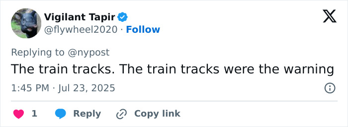 Tweet text from user Vigilant Tapir responding to news about a train accident involving a surf instructor discussing train tracks. Tweet text from user Vigilant Tapir responding to news about a train accident involving a surf instructor discussing train tracks.