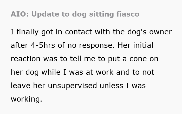 Woman Cuts Dog-Sitting Short After Realizing She Needs Supervision 24/7