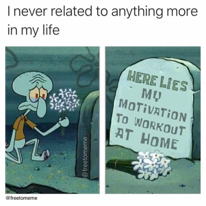“Laugh At The Stereotypes”: 50 Gym Memes That Show The Real Struggle Of ...