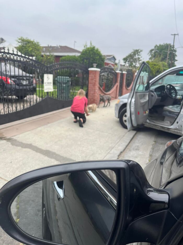 Two loyal stray pups staying close together on a sidewalk while a person in a pink shirt approaches them near cars. Two loyal stray pups staying close together on a sidewalk while a person in a pink shirt approaches them near cars.