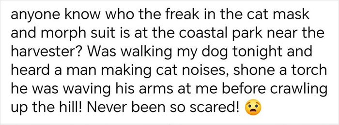 Text describing a person in a full-body cat suit crawling at night, terrorizing a neighborhood. Text describing a person in a full-body cat suit crawling at night, terrorizing a neighborhood.