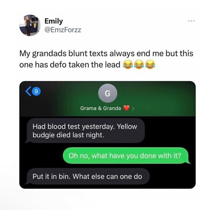 Screenshot of a funny British humor meme text about a yellow budgie from grandparent’s blunt messages.