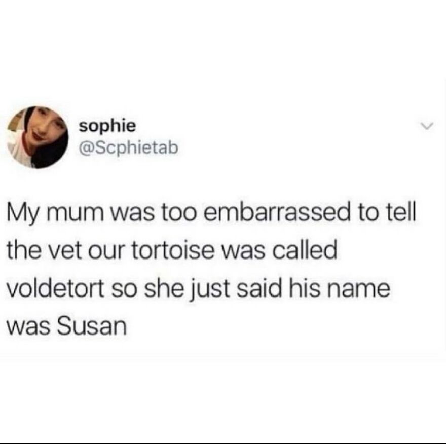 British humor meme about a tortoise named Voldetort, whose name was changed to Susan to avoid embarrassment.