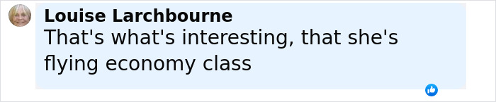 Comment highlighting surprise that Japanese Princess Kako is flying economy class on a social media post. Comment highlighting surprise that Japanese Princess Kako is flying economy class on a social media post.