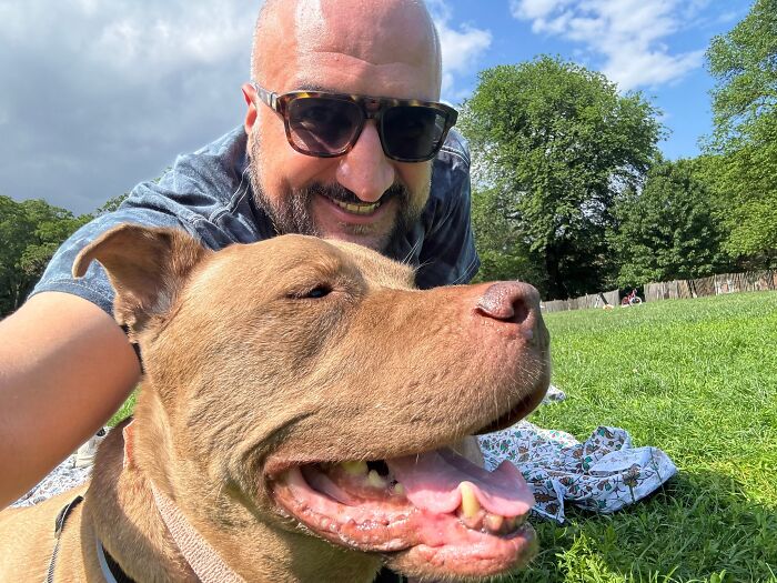 After Losing Her Home And Getting A Terminal Diagnosis, This Dog Found Comfort In A Familiar Place