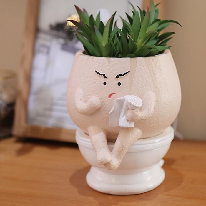 Playful plant pot with expressive face and legs sitting on a miniature toilet, adding fun home decor charm.