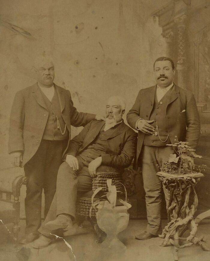 Vintage postcards from the 1930s showing three men in suits in a formal indoor setting with antique furniture.