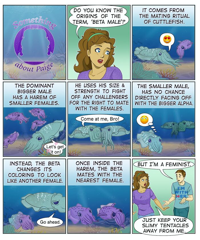 Comic panels featuring cuttlefish explaining beta male behavior, in Eric Salinas relatable comic style.