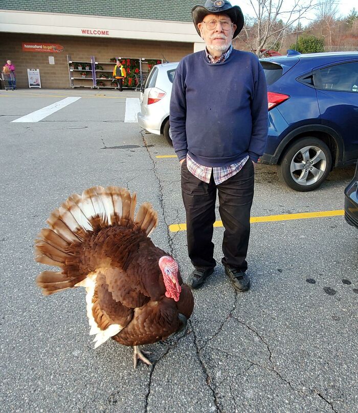 Man wearing a cowboy hat stands calmly next to a large turkey in a parking lot, suspiciously unbothered by the scene.