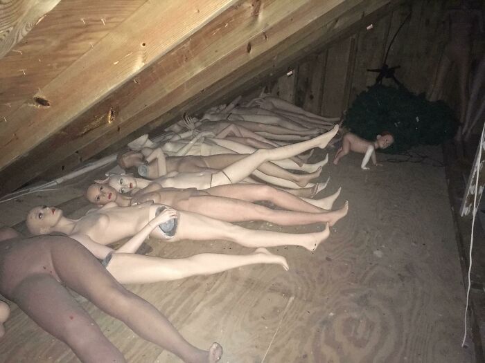 Several old mannequins lying under attic floorboards in an old home with wooden beams and dusty surfaces.