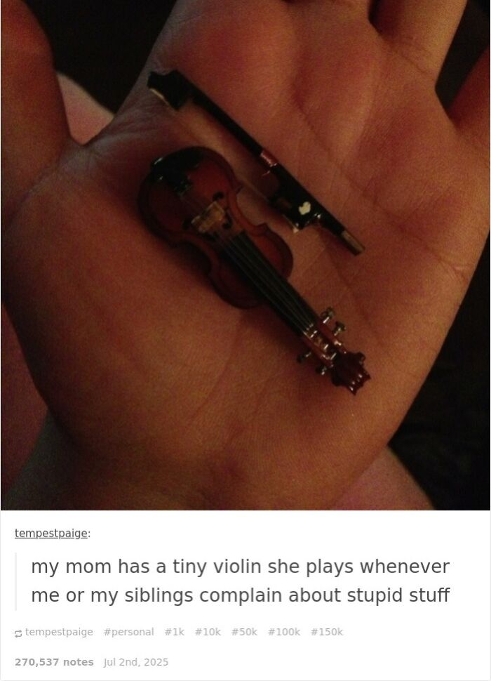 Tiny violin in hand used sarcastically, showing suspiciously unbothered attitude and zero ducks given about complaints.