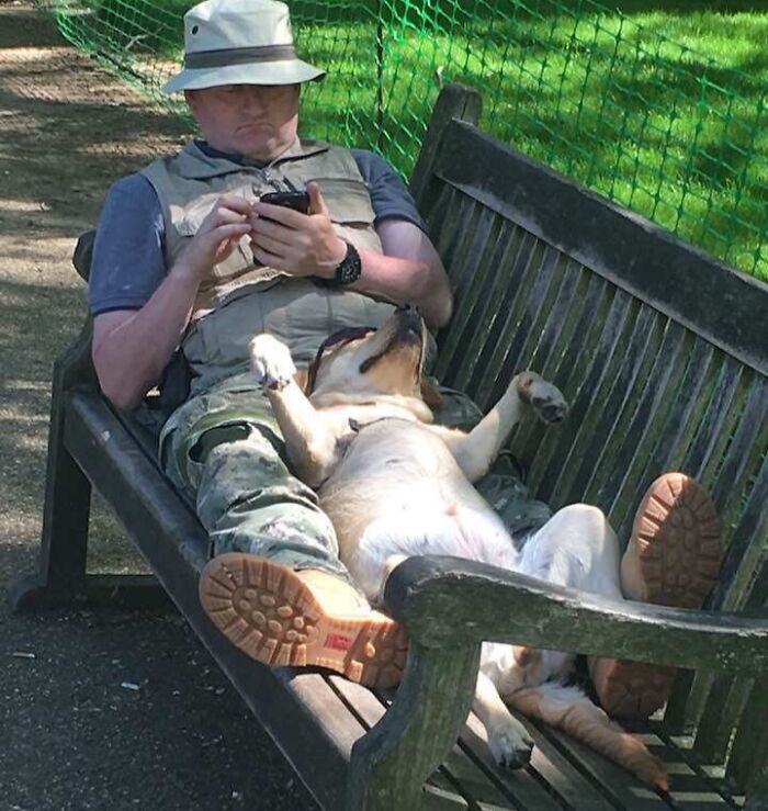 Man wearing a hat lounging on a bench with a dog lying on its back, both appearing suspiciously unbothered outdoors.