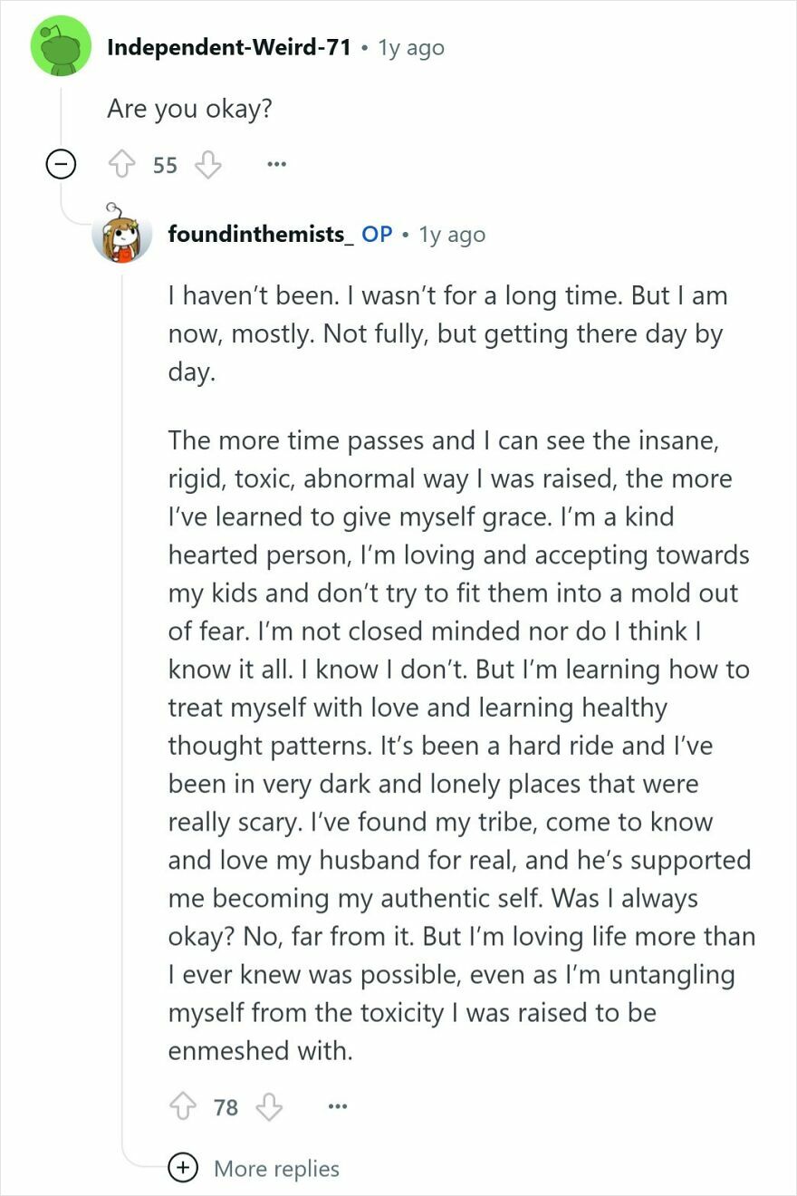 Reddit conversation showing a person raised Mormon describing their struggle with toxicity and cult experiences.