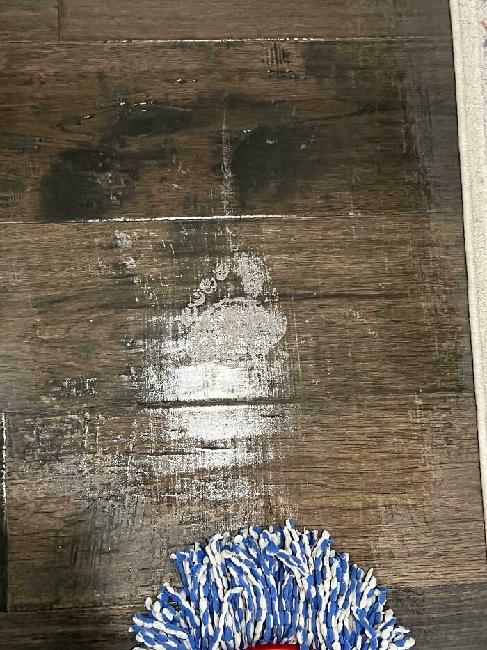 Footprint fossilized under floor boards on wooden floor with blue and white mop head nearby.
