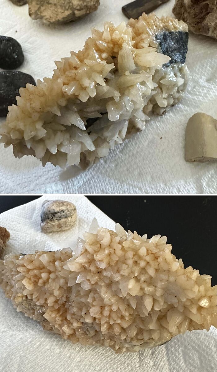 Close-up of a fossil with crystal formations found under floor boards in an old home, shown on a white surface.