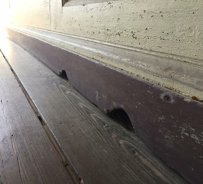 Fossil embedded under old wooden floor boards in a vintage home with textured wall and natural light from doorway.