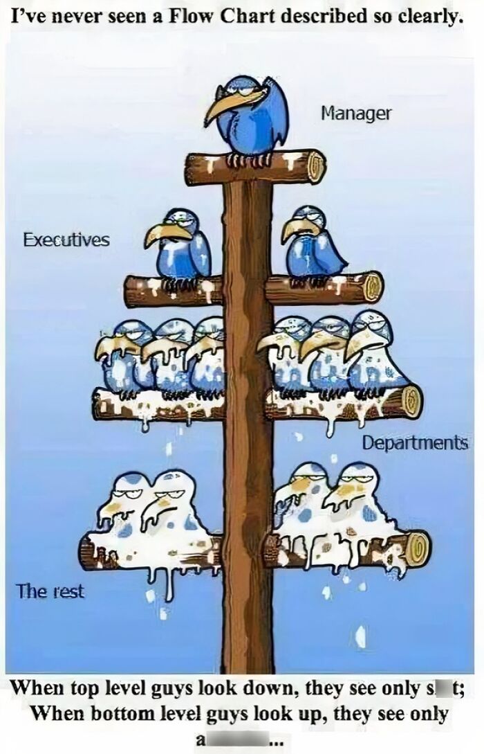 Cartoon flow chart of birds on branches representing managers, executives, and departments with humorous cringy jokes about hierarchy.