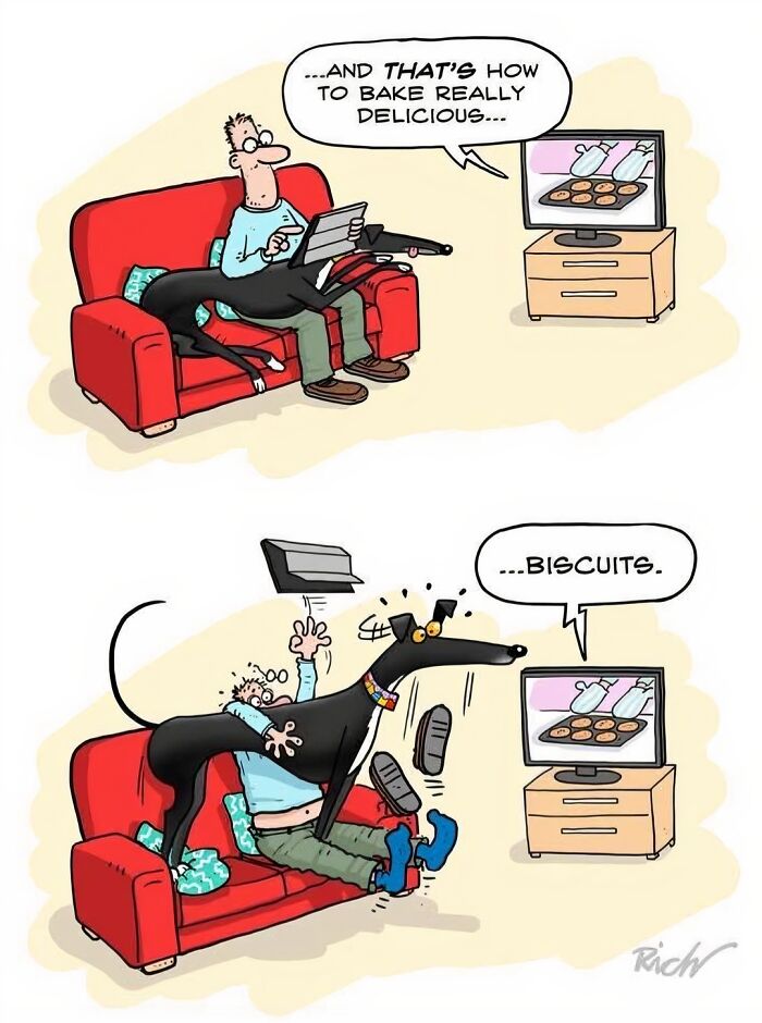 Cartoon of a man and a dog on a couch with a humorous scene illustrating cringy jokes about boomers and the internet.