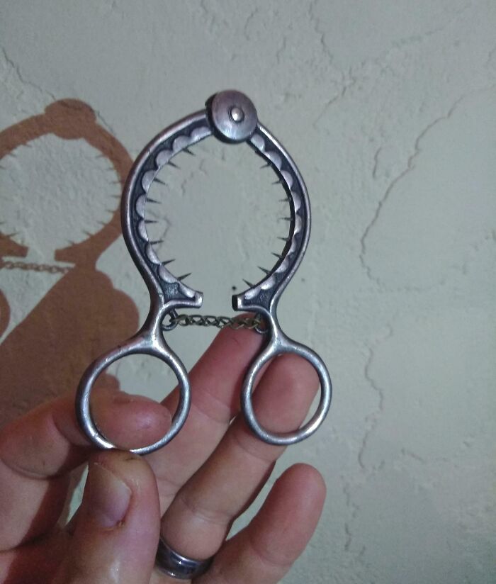 Metal antique tool with sharp inner teeth held between fingers, one of the bamboozling things found in old homes.