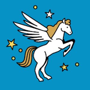 elainefrank_2 avatar