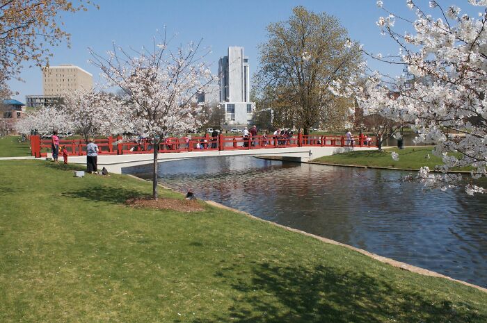 Urban park with people near a pond and cherry blossoms, illustrating one of the best places to live in the USA.