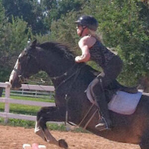 charlotterowe avatar