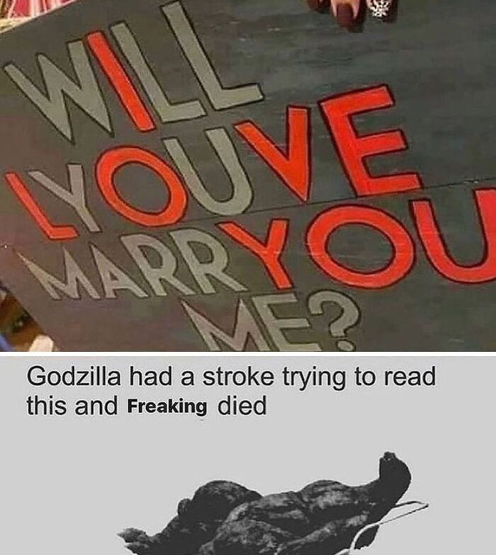 Sign with confusing text saying "Will you marry me?" in a weird way, paired with a funny unhinged meme about Godzilla.