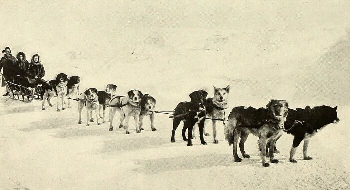Historic photo of Inuit dog sled team pulling a sled with people across snowy Arctic terrain, capturing Inuit spirit.