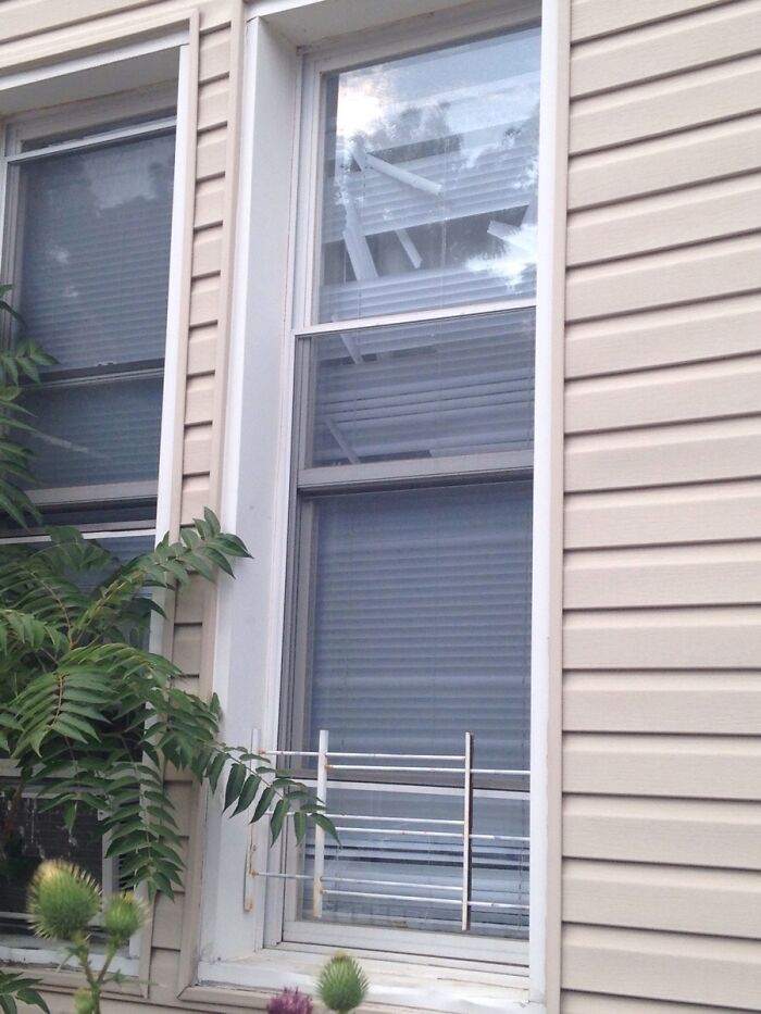 Window with damaged blinds destroyed by chaotic pets causing mess outside beige house siding.