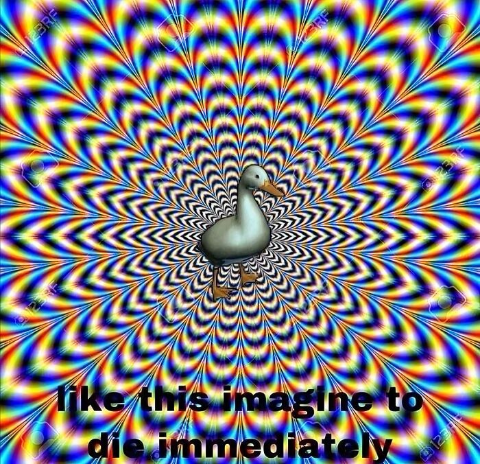 Colorful optical illusion background with a 3D duck in the center, a classic example of cursed images online.