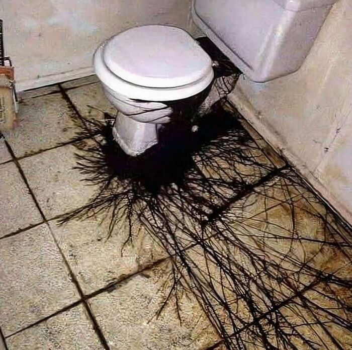 Toilet with black root-like stains spreading on dirty bathroom floor, creating a cursed and unsettling image.