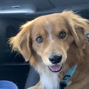 debbieevert04 avatar